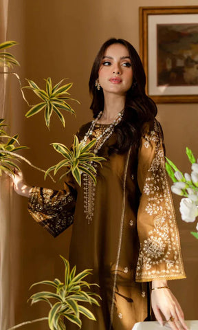 2PC EMBROIDERED DHANAK DRESS BS - 385